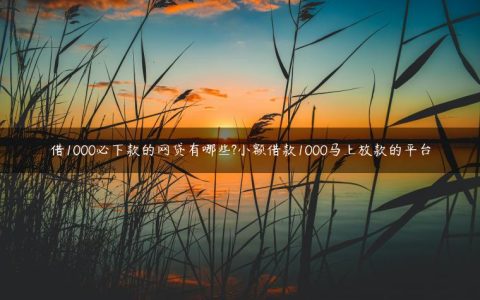 借1000必下款的网贷有哪些?小额借款1000马上放款的平台