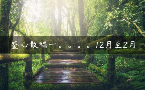 鉴心散稿一。。。。12月至2月