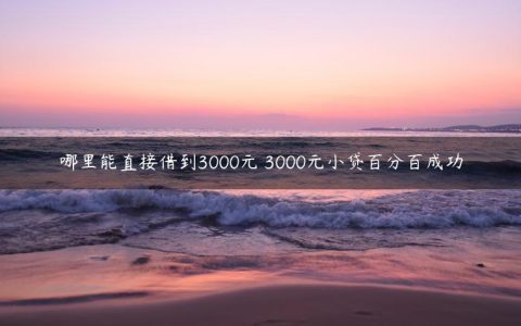 哪里能直接借到3000元 3000元小贷百分百成功