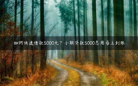 如何快速借款5000元？小额贷款5000急用马上到账