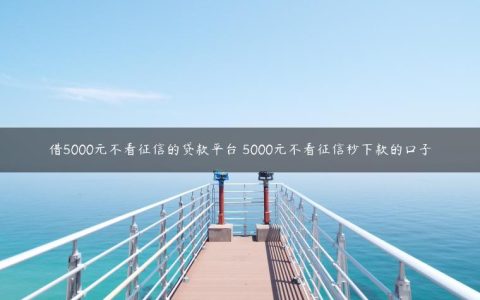 借5000元不看征信的贷款平台 5000元不看征信秒下款的口子