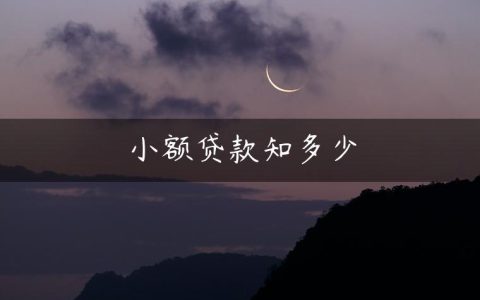 小额贷款知多少