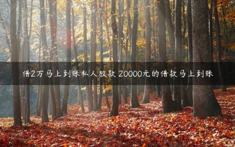 借2万马上到账私人放款 20000元的借款马上到账