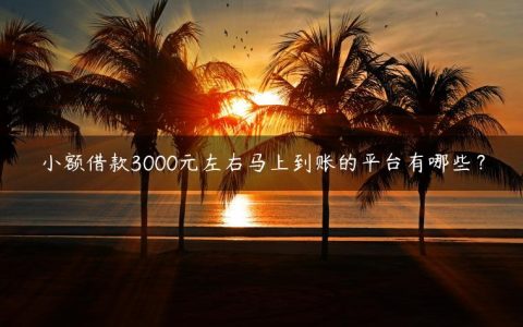 小额借款3000元左右马上到账的平台有哪些？