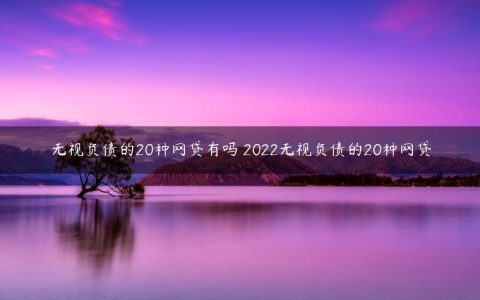 无视负债的20种网贷有吗 2022无视负债的20种网贷