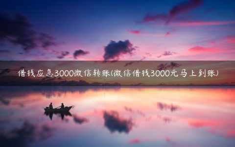 借钱应急3000微信转账(微信借钱3000元马上到账)