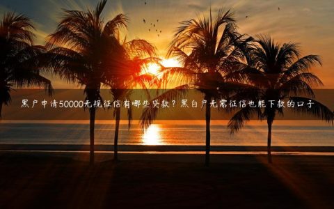 黑户申请50000无视征信有哪些贷款？黑白户无需征信也能下款的口子