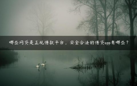 哪些网贷是正规借款平台，安全合法的借贷app有哪些？