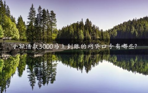 小额借款3000马上到账的网贷口子有哪些?