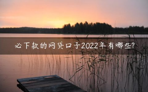 必下款的网贷口子2022年有哪些?