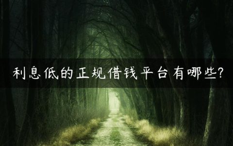 利息低的正规借钱平台有哪些?年化利率低的网贷平台