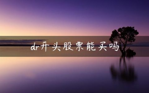 dr开头股票能买吗