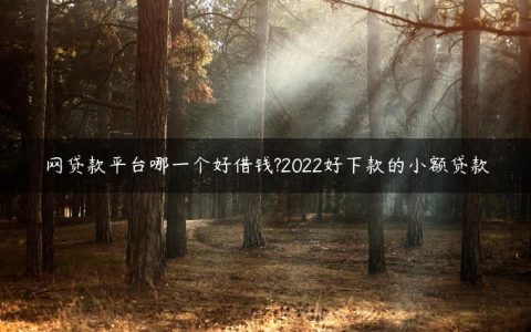 网贷款平台哪一个好借钱?2022好下款的小额贷款