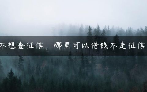 不想查征信，哪里可以借钱不走征信？