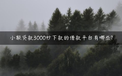 小额贷款3000秒下款的借款平台有哪些?