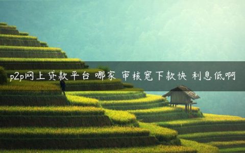 p2p网上贷款平台 哪家 审核宽下款快 利息低啊