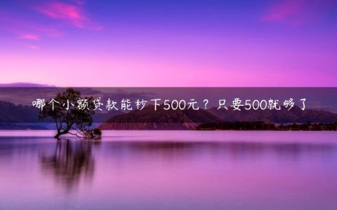 哪个小额贷款能秒下500元？只要500就够了