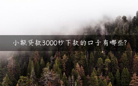 小额贷款3000秒下款的口子有哪些?