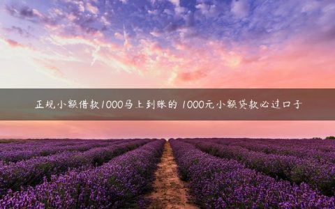 正规小额借款1000马上到账的 1000元小额贷款必过口子