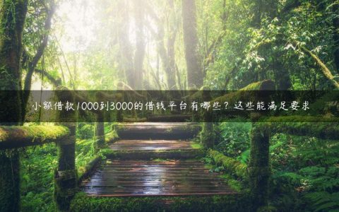 小额借款1000到3000的借钱平台有哪些？这些能满足要求