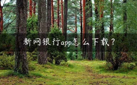 新网银行app怎么下载？