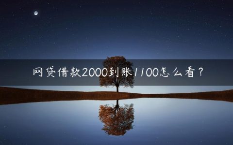 网贷借款2000到账1100怎么看？