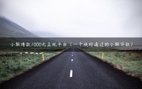 小额借款1000元正规平台（一千块好通过的小额贷款）