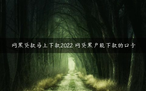 网黑贷款马上下款2022 网贷黑户能下款的口子