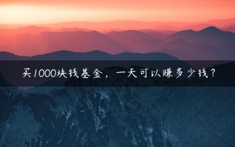 买1000块钱基金，一天可以赚多少钱？