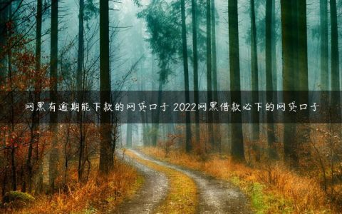 网黑有逾期能下款的网贷口子 2022网黑借款必下的网贷口子