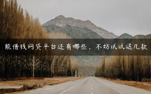 能借钱网贷平台还有哪些，不妨试试这几款