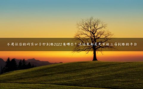 不用征信的网贷口子秒到账2022有哪些？这结果都是免审核立马到账的平台