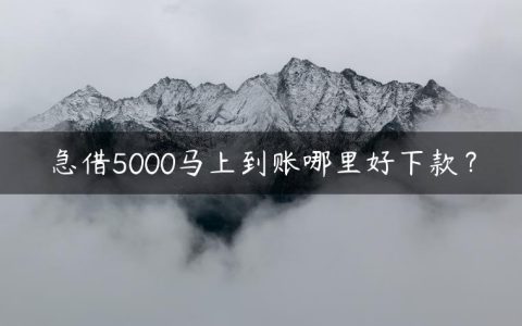 急借5000马上到账哪里好下款？