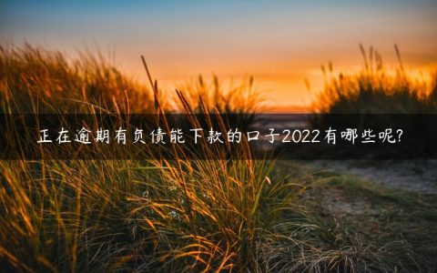 正在逾期有负债能下款的口子2022有哪些呢?