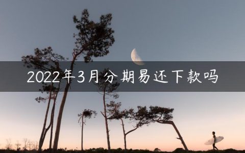 2022年3月分期易还下款吗