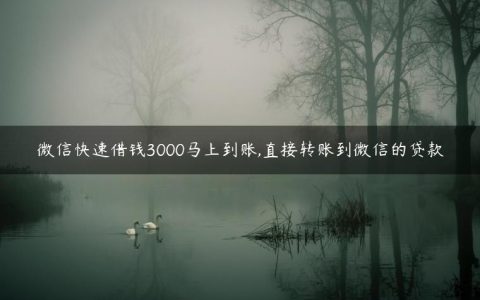 微信快速借钱3000马上到账,直接转账到微信的贷款