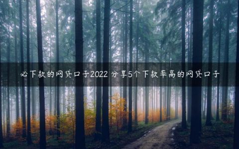 必下款的网贷口子2022 分享5个下款率高的网贷口子