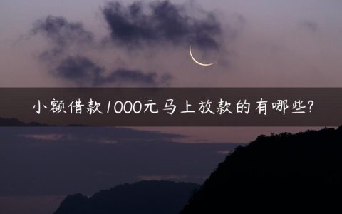 小额借款1000元马上放款的有哪些?