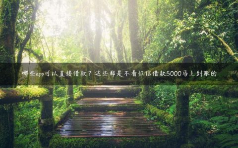 哪些app可以直接借款？这些都是不看征信借款5000马上到账的