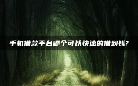 手机借款平台哪个可以快速的借到钱?