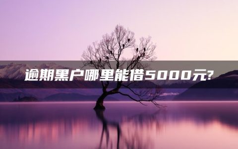 逾期黑户哪里能借5000元?