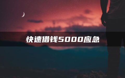 去哪个平台快速借钱5000应急?应急借钱哪个正规