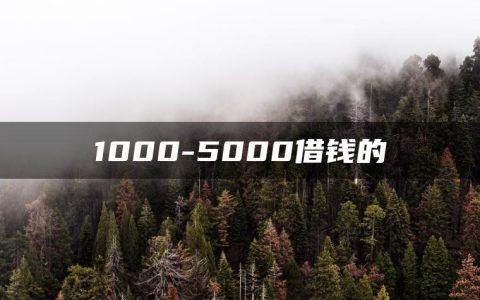 哪些是1000-5000借钱正规平台?立马放款的小额贷款