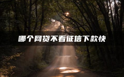 哪个网贷不看征信下款快?哪些网贷不查征信最容易下款