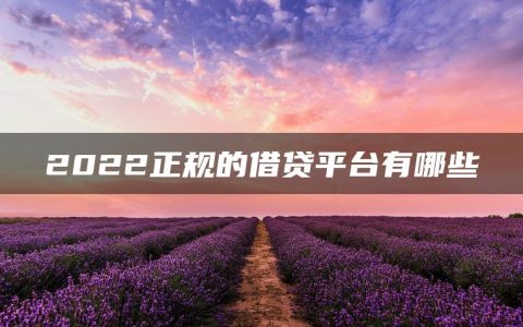 2022正规的借贷平台有哪些?保证能下款的哪个借款app