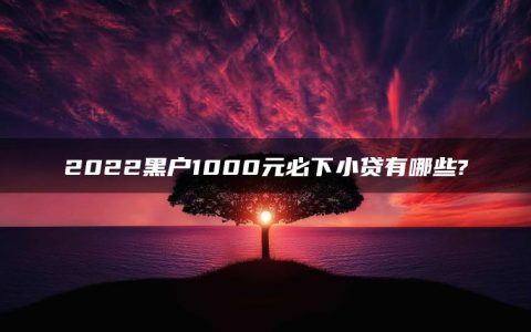 2022黑户1000元必下小贷有哪些?