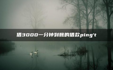 借3000一分钟到账的借款平台是哪些?不审核直接放款3000元