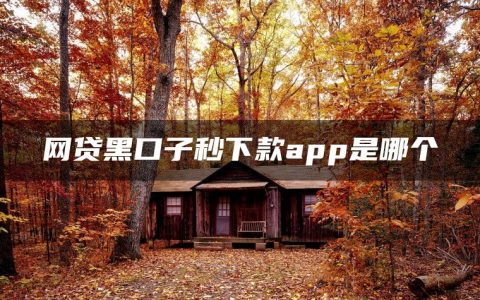 网贷黑口子秒下款app是哪个?新口子必下款2022