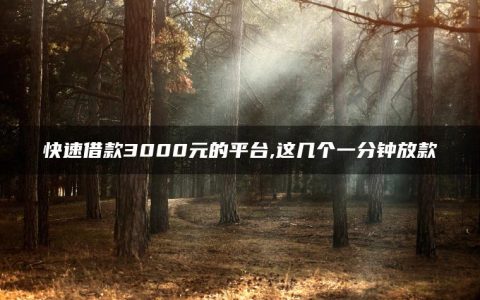 快速借款3000元的平台,这几个一分钟放款