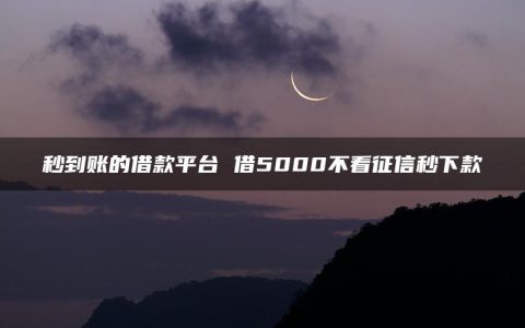 秒到账的借款平台 借5000不看征信秒下款